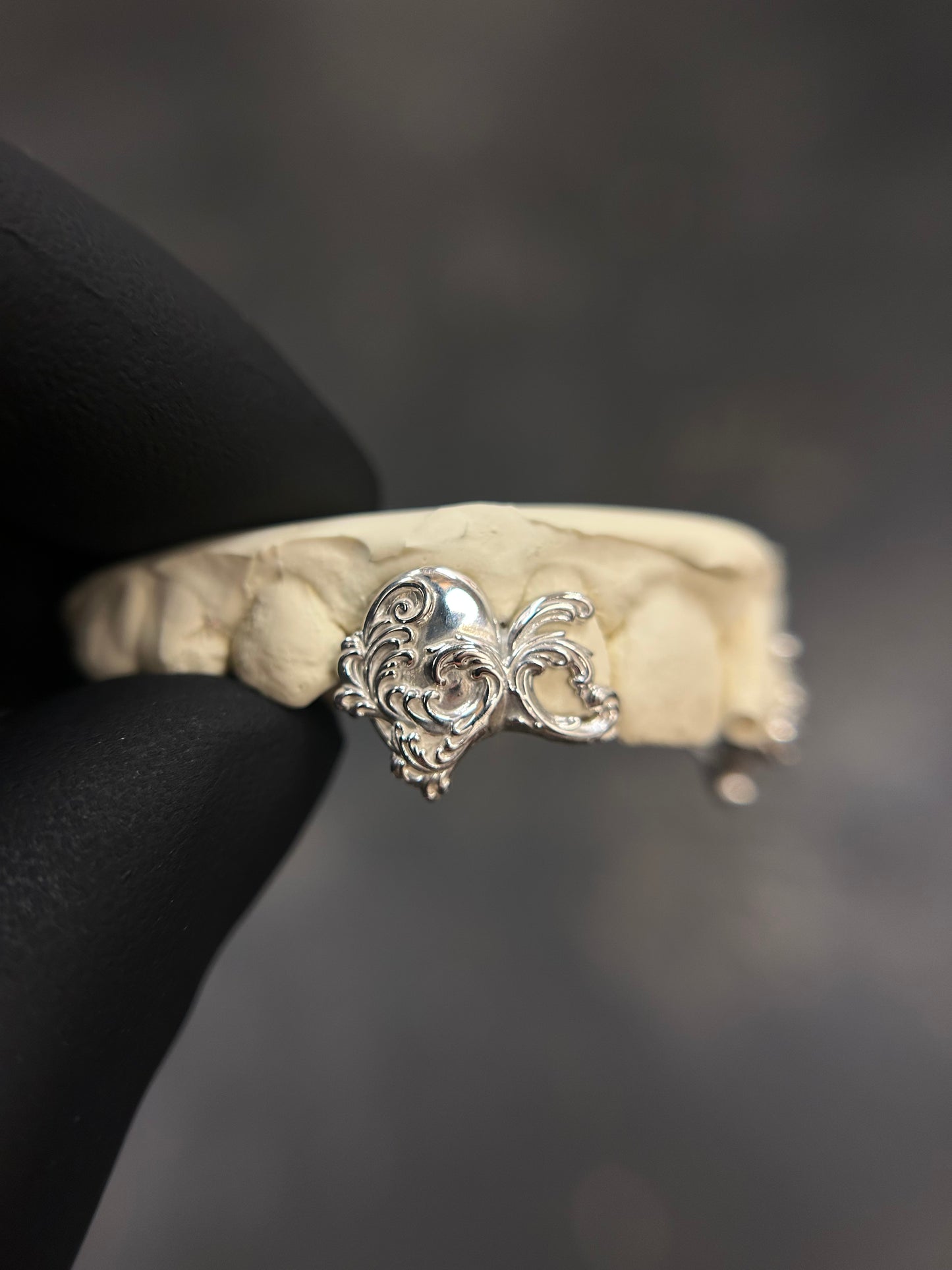 Filigree Fangs Set
