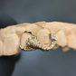 Scorpion Grillz