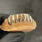 Grillz Sets